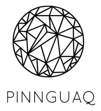Pinnguaq- Primary Logo copy